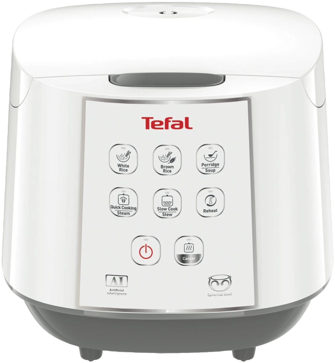 Tefal Easy Rice & Slow Cooker