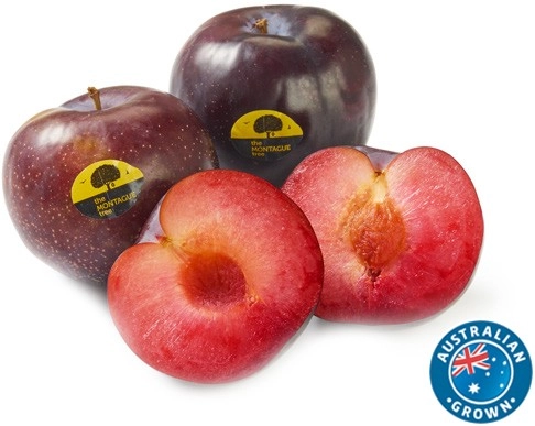 Australian Montague Tree Plums