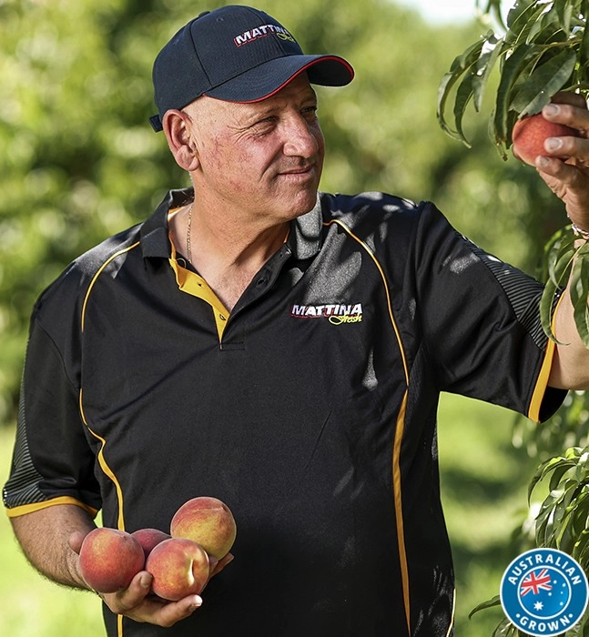 Australian Yellow or White Peaches