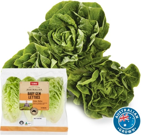 Coles Australian Baby Gem Lettuce 3 Pack