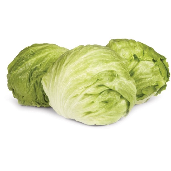 Australian Iceberg Lettuce