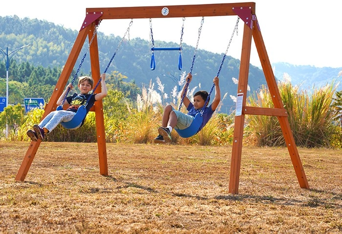 Backyard Blitz Delux Wooden Swing Set