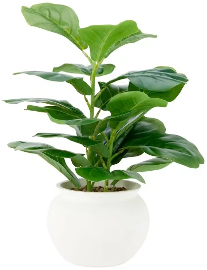 Artificial Fiddle Fig Plant in Pot