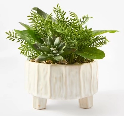 Artificial Mixed Foliage in Pot