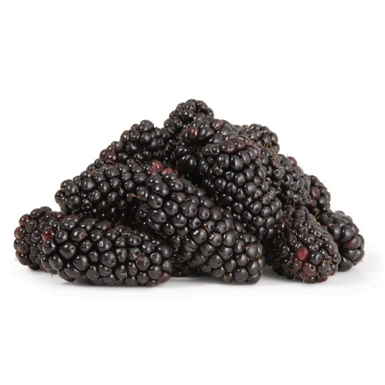 Australian Blackberries 170g Punnet