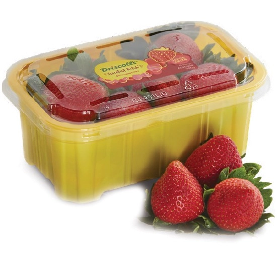 Australian Sweetest Batch® Premium Strawberries 300g Punnet