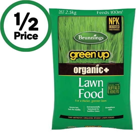 Brunnngs Organics Plus Green Up Lawn Care 2.5 kg