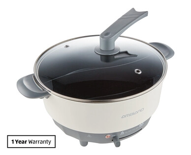 Electric Dual Hotpot