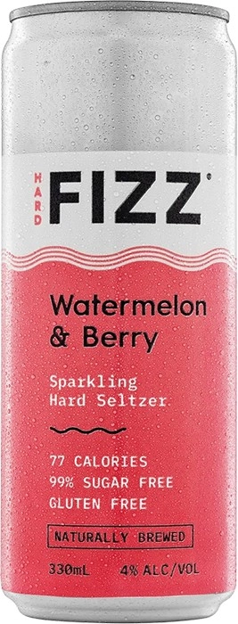 Hard Fizz Hard Seltzer Mixed 10 Pack Cans 330mL