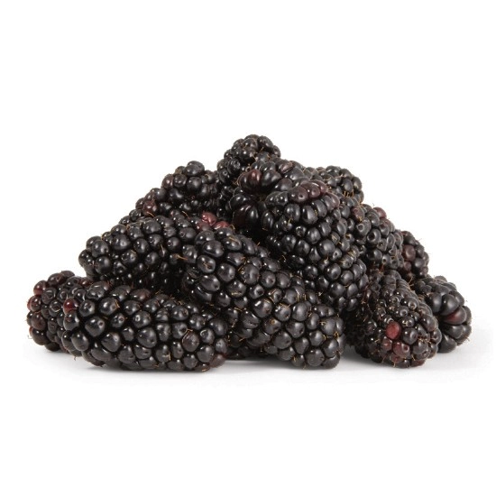 Australian Blackberries 170g Punnet