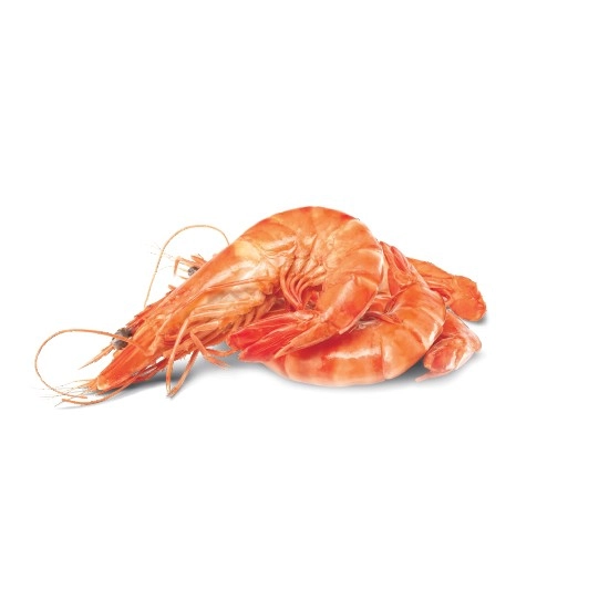 Fresh Cooked Australian Tiger Prawns