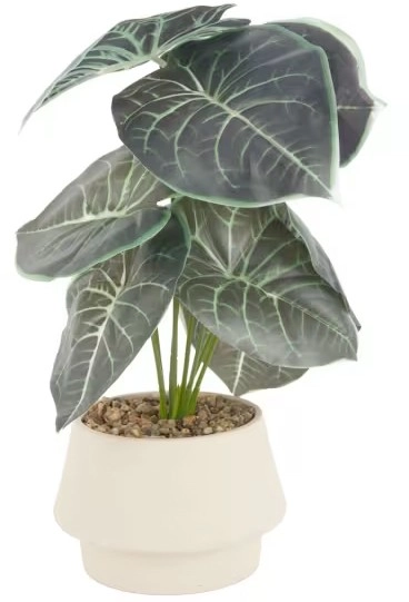 Artificial Alocasia in Pot