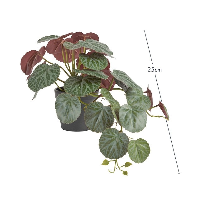 Artificial Begonia Hanging Plant by M.U.S.E.