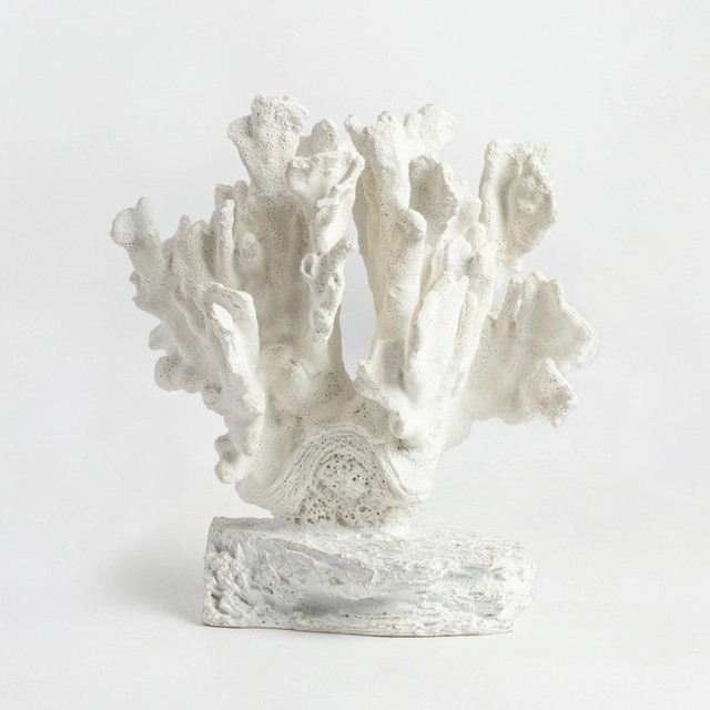 Whitehaven Coral by M.U.S.E