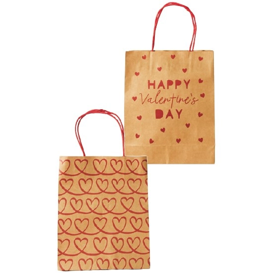 Valentine’s Day Gift Bag – Assorted