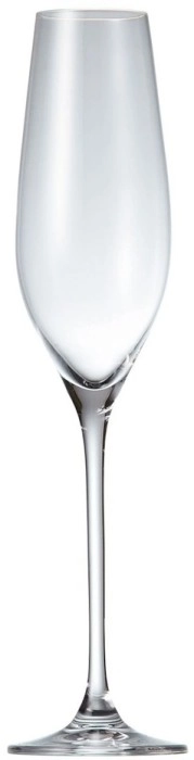 Salt & Pepper Cuvee Champagne Flute Set of 6