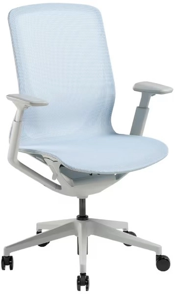 Pago Sky Ergonomic Chair