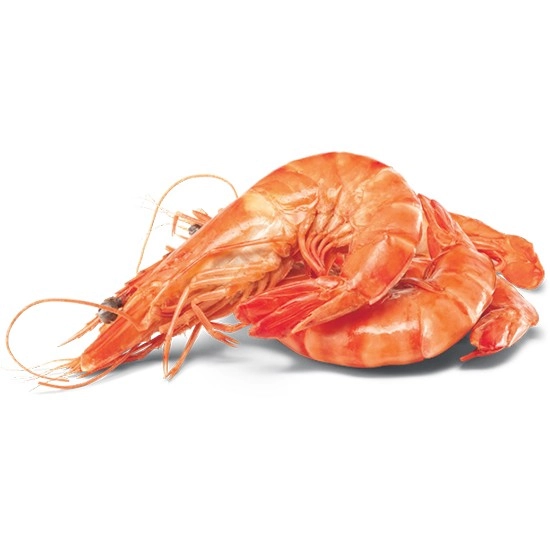 Thawed Large Australian Cooked Tiger Prawns