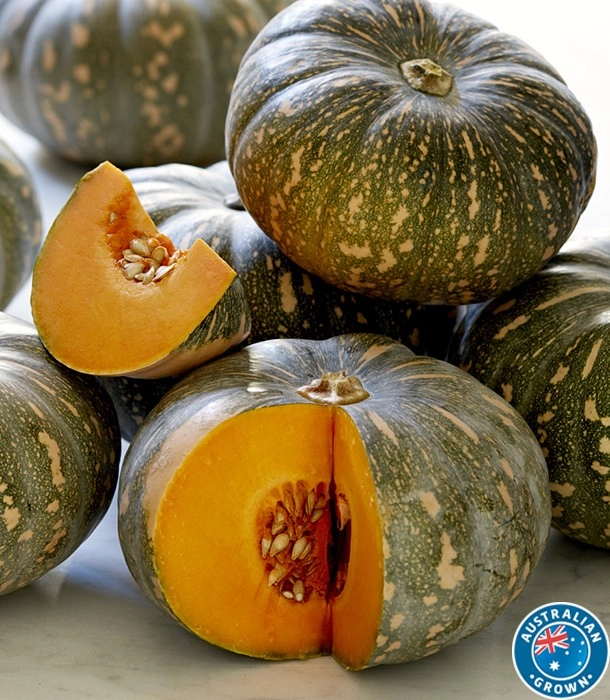 Australian Kent Pumpkin