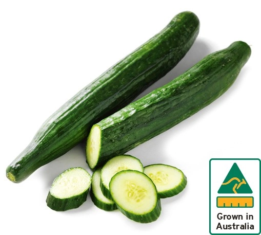 Australian Continental Cucumbers