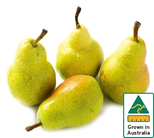 Australian William Pears