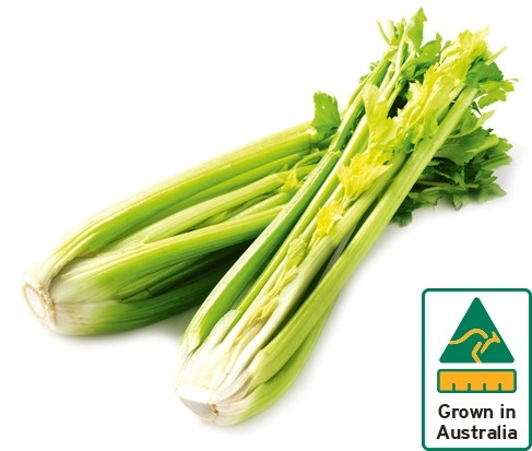 Australian Celery Bunch