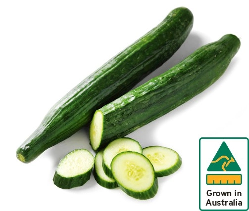 Australian Continental Cucumbers