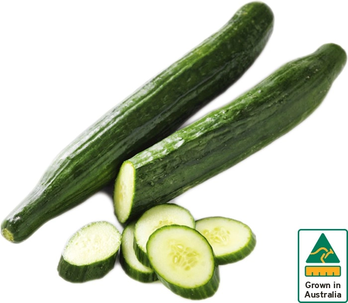 Australian Continental Cucumbers