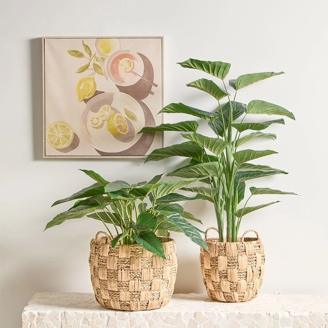 Artificial Philodendron Plant by M.U.S.E.