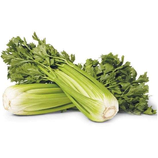 Australian Celery Bunch