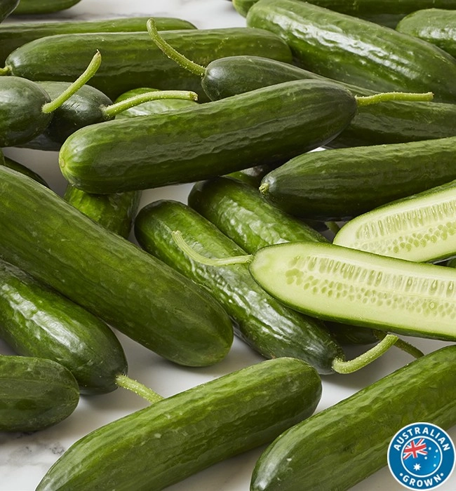 Australian Lebanese Cucumbers