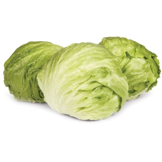 Australian Iceberg Lettuce