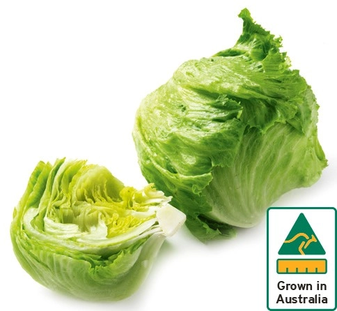 Australian Iceberg Lettuce