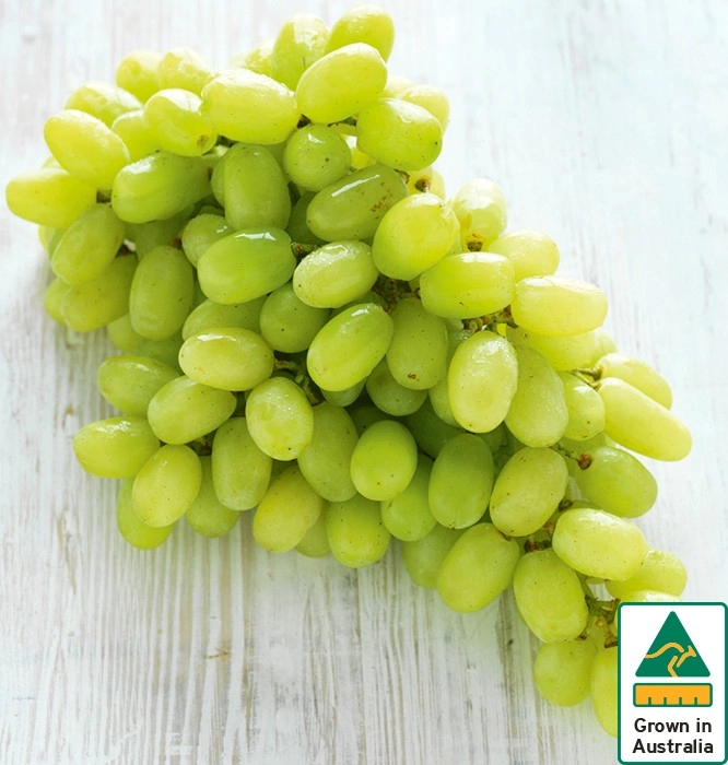 Australian White Seedless Grapes