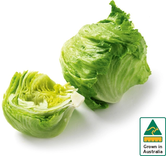 Australian Iceberg Lettuce