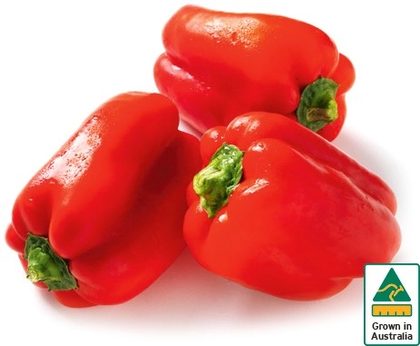 Australian Red Capsicum