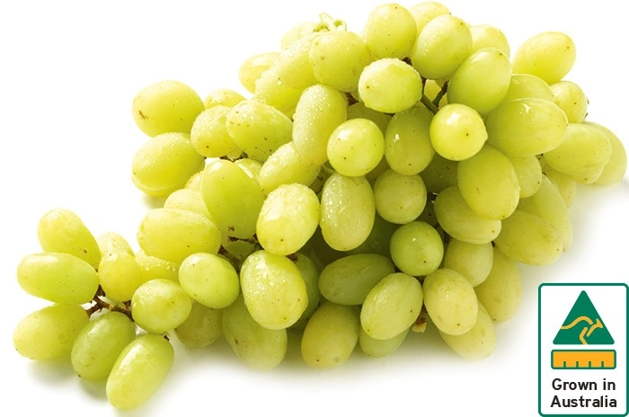 Australian White Seedless Grapes