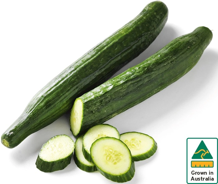 Australian Continental Cucumbers