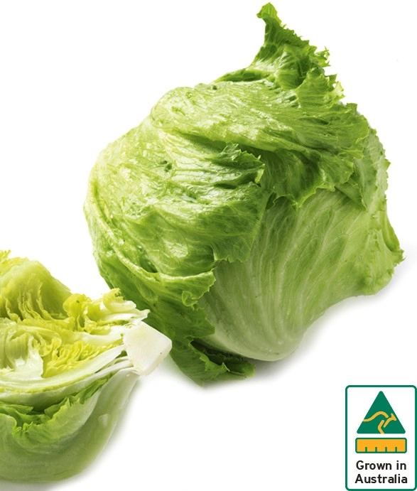 Australian Iceberg Lettuce