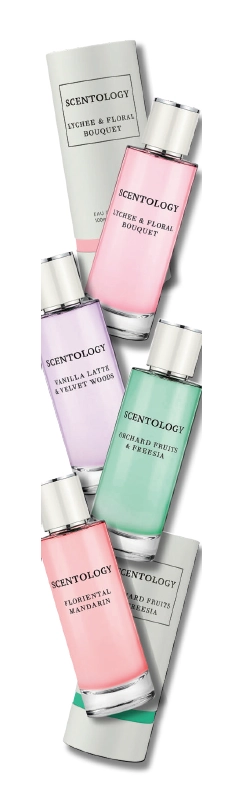 Scentology 100ml EDP Assorted Variants