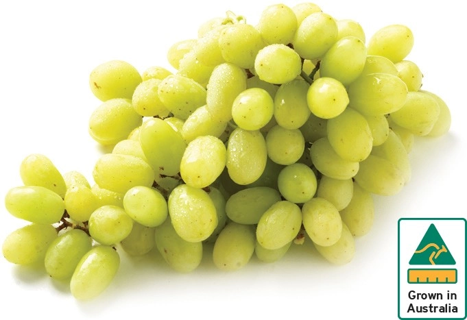 Australian White Seedless Grapes