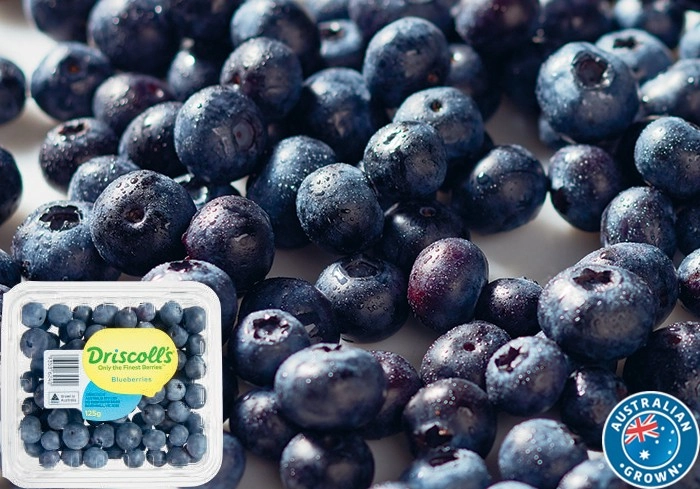 Australian Blueberries 125g Punnet