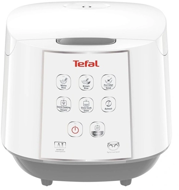 Tefal Easy Rice and Slow Cooker in White