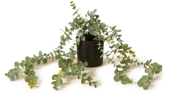 NEW Openook Artificial Plant: Silver Leaf