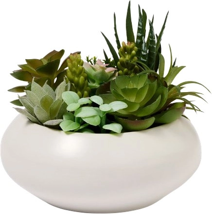 NEW Openook Artificial Plant: Tonal Succulent Bowl