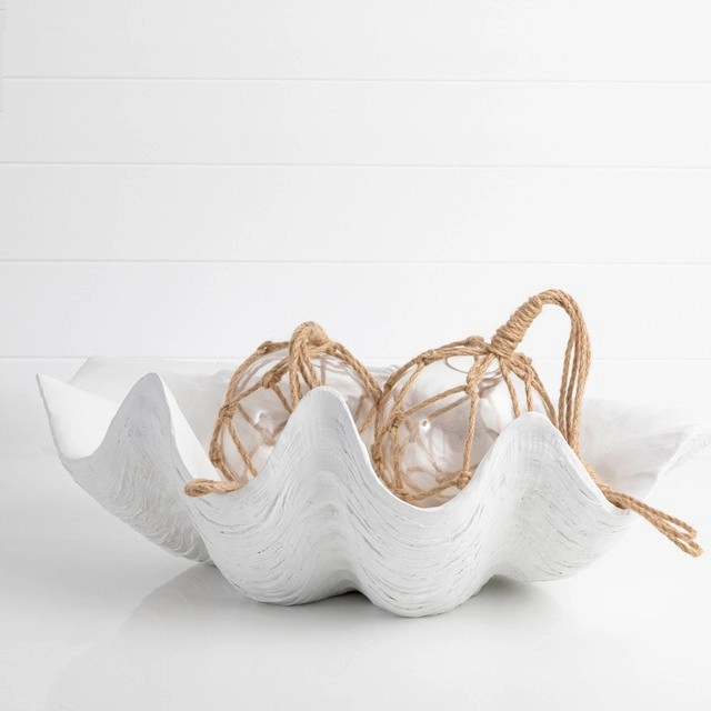 Giant Clam Shell Bowl by M.U.S.E.