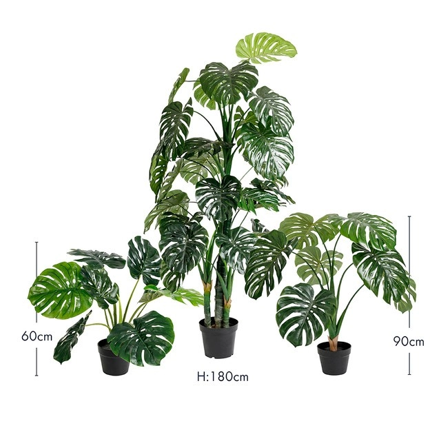 Monstera Plant by M.U.S.E.