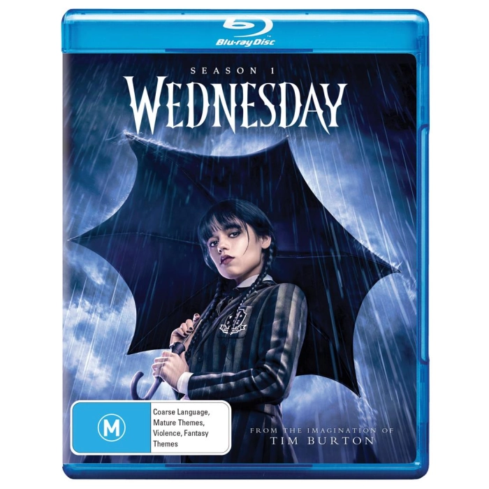 Wednesday - Season 1