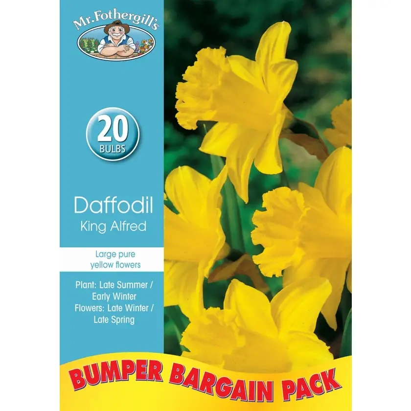 Mr Fothergill’s Bulbs Daffodil 20Pk