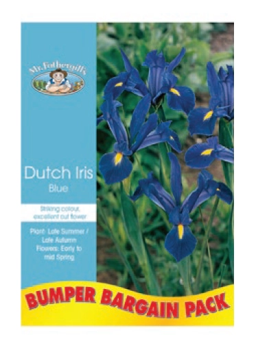 Mr Fothergill’s Bulbs Dutch Iris 22Pk